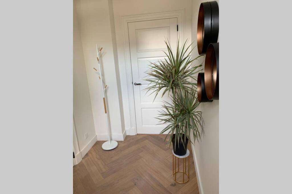 Charming Private Guesthouse Air By The Beach Zandvoort Exterior foto